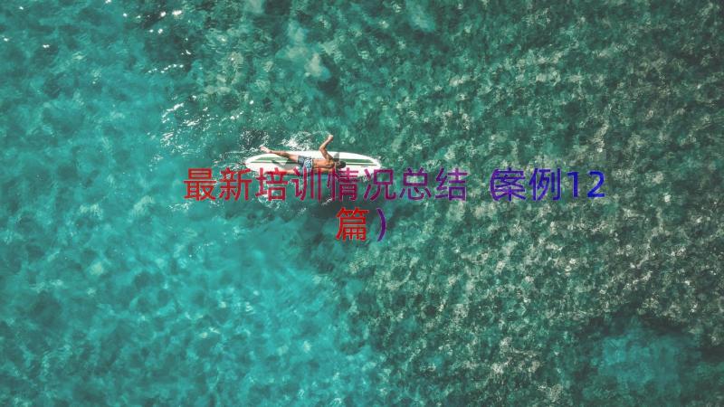 最新培训情况总结（案例12篇）