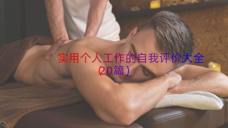 实用个人工作的自我评价大全（20篇）