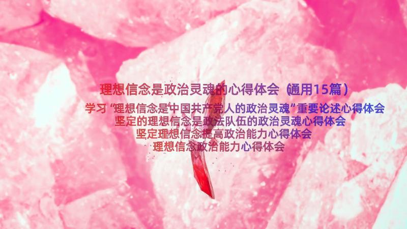 理想信念是政治灵魂的心得体会（通用15篇）