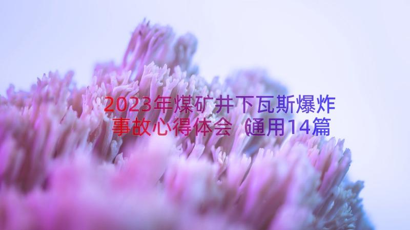 2023年煤矿井下瓦斯爆炸事故心得体会（通用14篇）