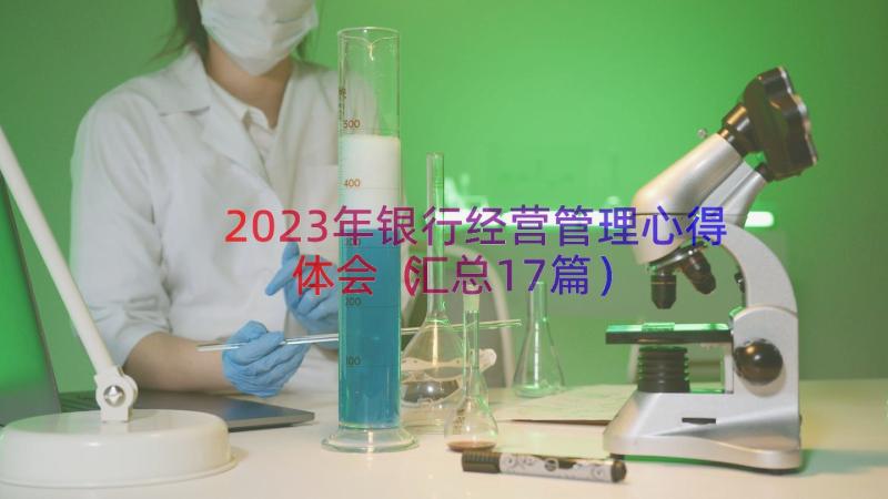 2023年银行经营管理心得体会（汇总17篇）