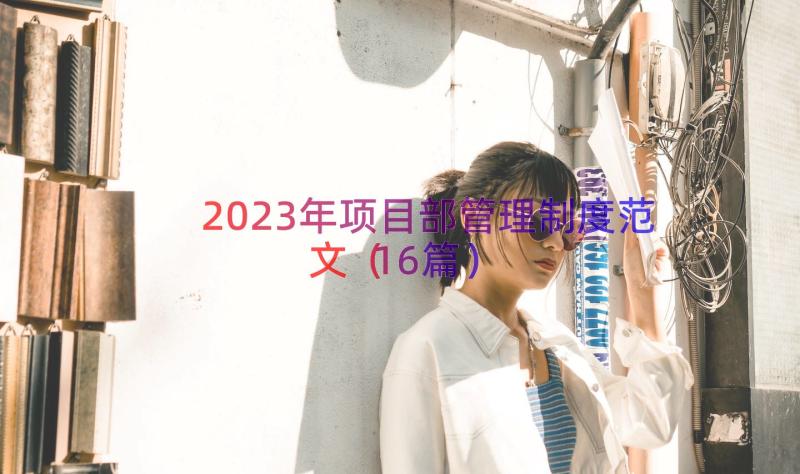 2023年项目部管理制度范文（16篇）