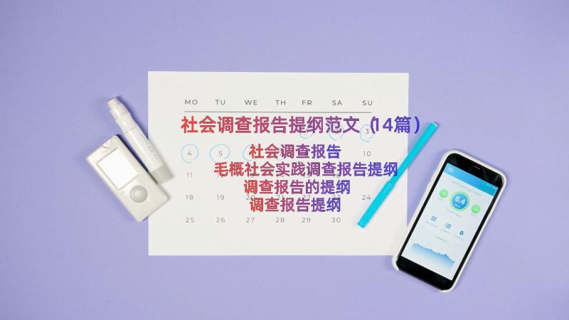 社会调查报告提纲范文（14篇）