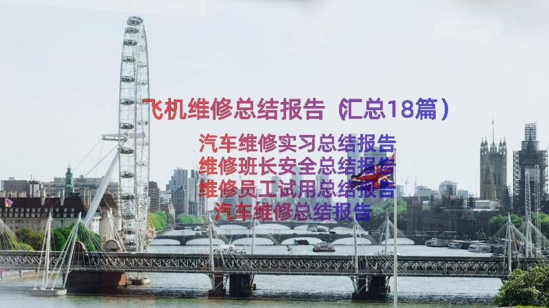 飞机维修总结报告（汇总18篇）