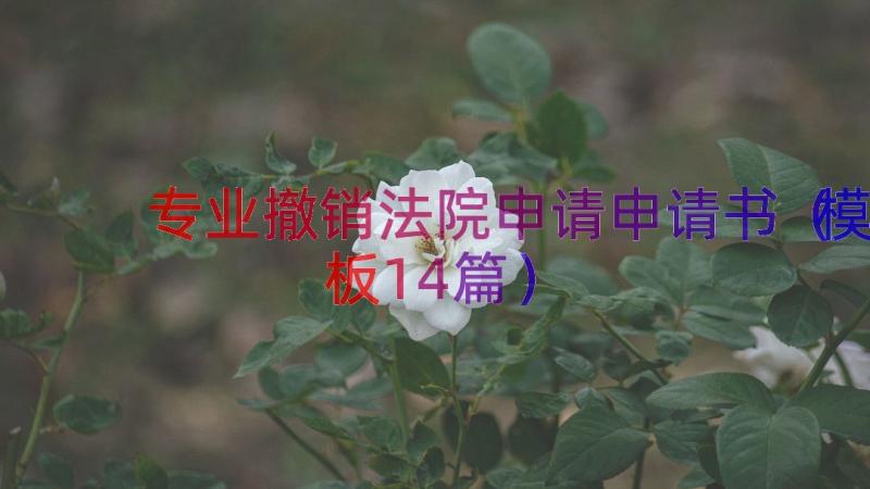 专业撤销法院申请申请书（模板14篇）