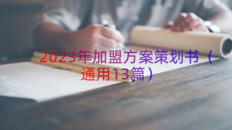 2023年加盟方案策划书（通用13篇）