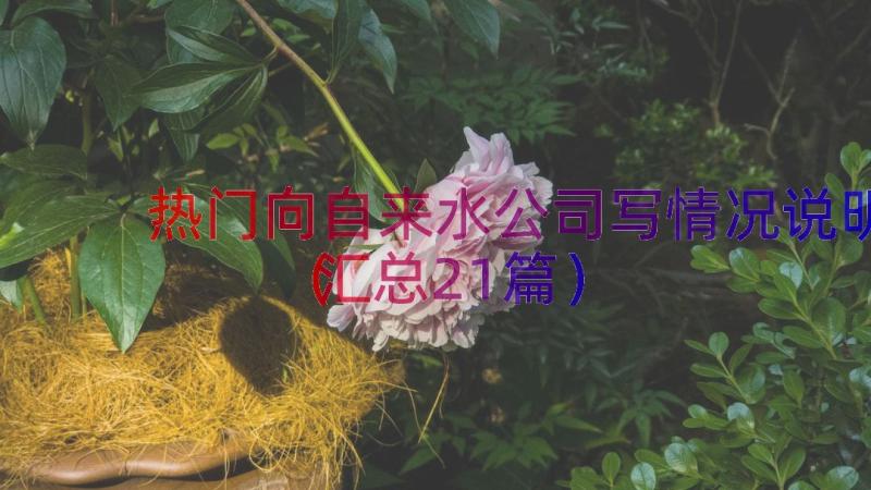 热门向自来水公司写情况说明（汇总21篇）