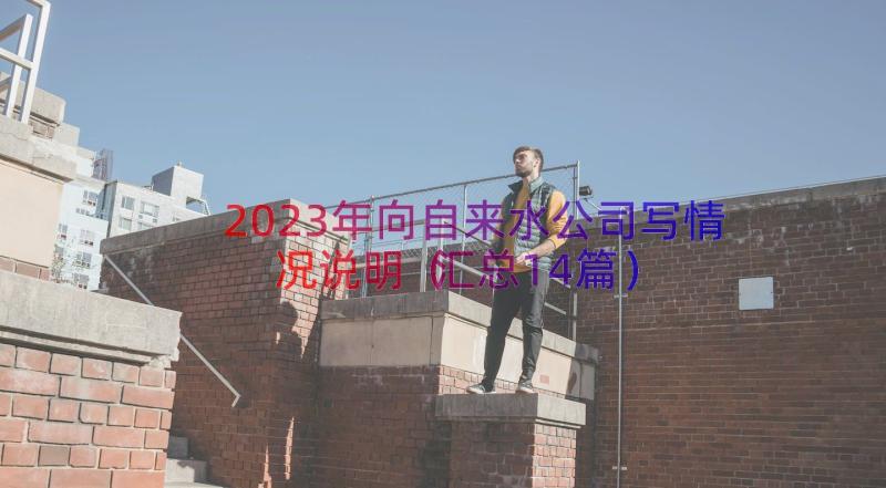 2023年向自来水公司写情况说明（汇总14篇）