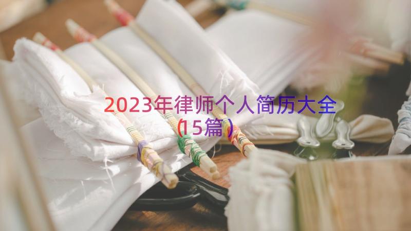 2023年律师个人简历大全（15篇）