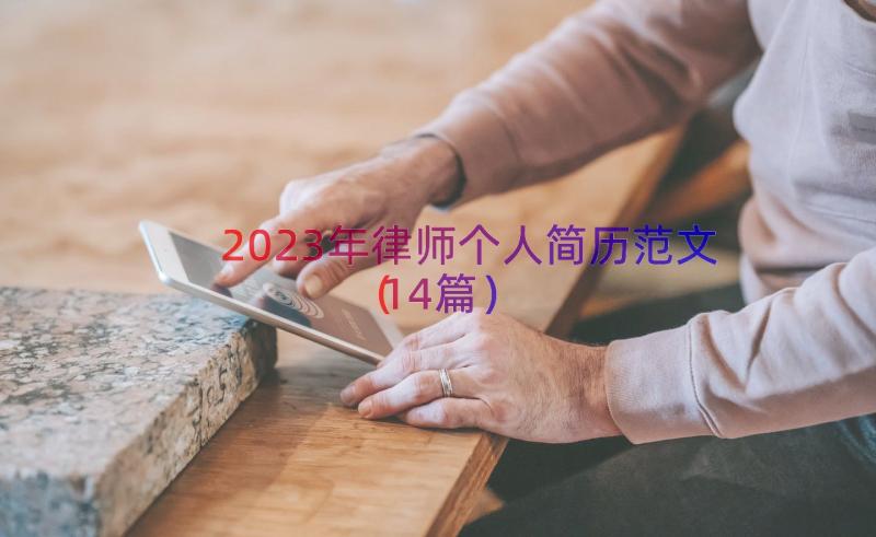 2023年律师个人简历范文（14篇）