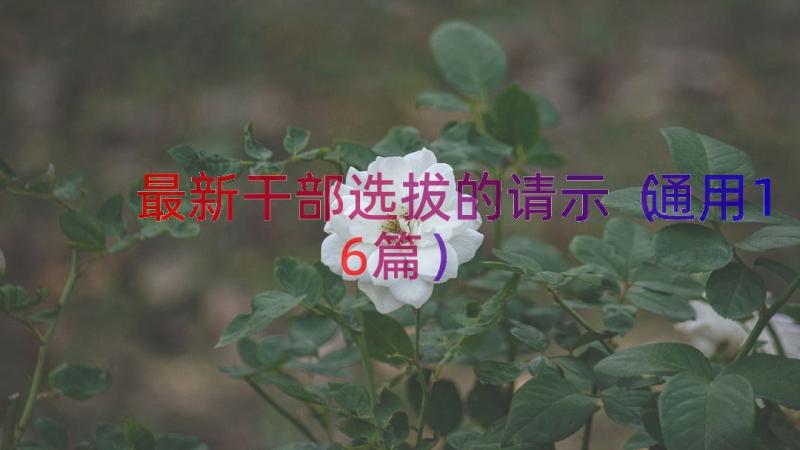 最新干部选拔的请示（通用16篇）