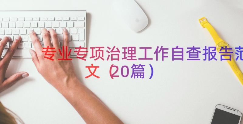 专业专项治理工作自查报告范文（20篇）