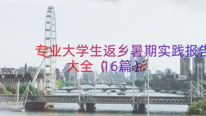 专业大学生返乡暑期实践报告大全（16篇）