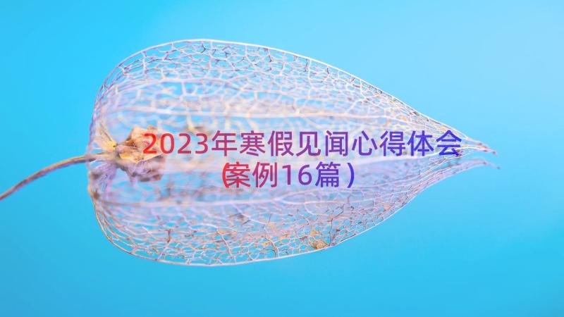 2023年寒假见闻心得体会（案例16篇）