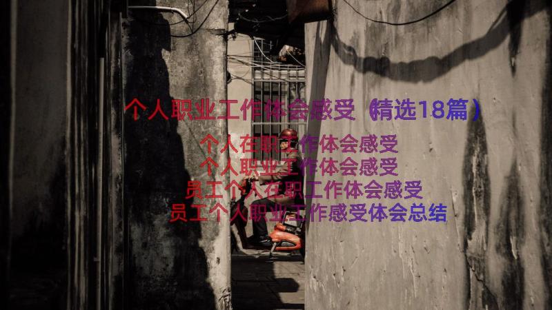 个人职业工作体会感受（精选18篇）