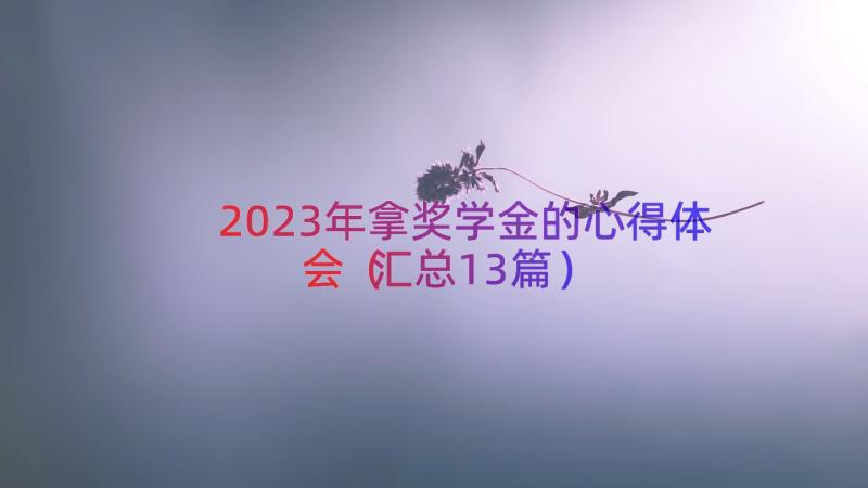 2023年拿奖学金的心得体会（汇总13篇）