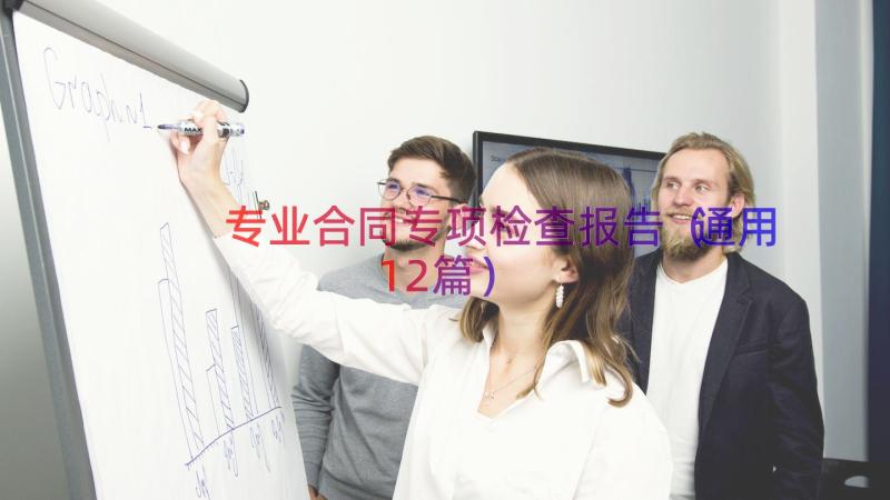 专业合同专项检查报告（通用12篇）