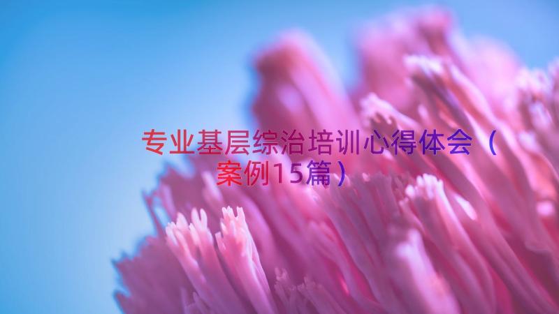 专业基层综治培训心得体会（案例15篇）