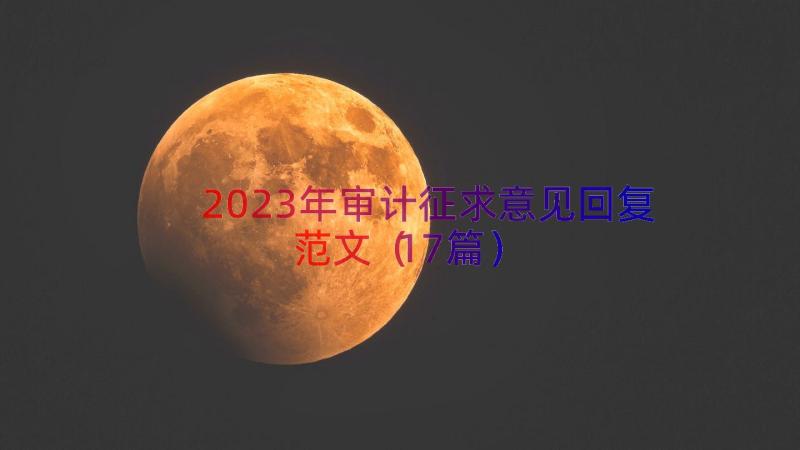 2023年审计征求意见回复范文（17篇）