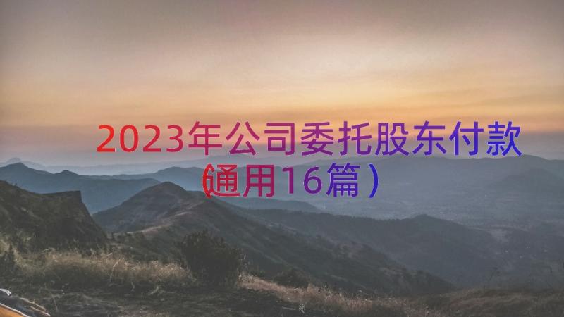 2023年公司委托股东付款（通用16篇）