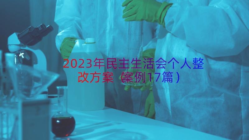 2023年民主生活会个人整改方案（案例17篇）