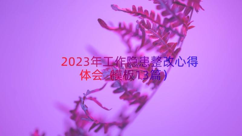 2023年工作隐患整改心得体会（模板13篇）