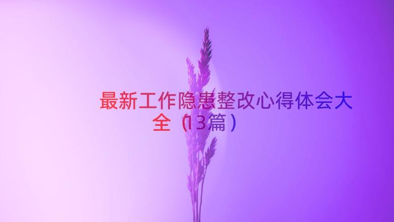 最新工作隐患整改心得体会大全（13篇）