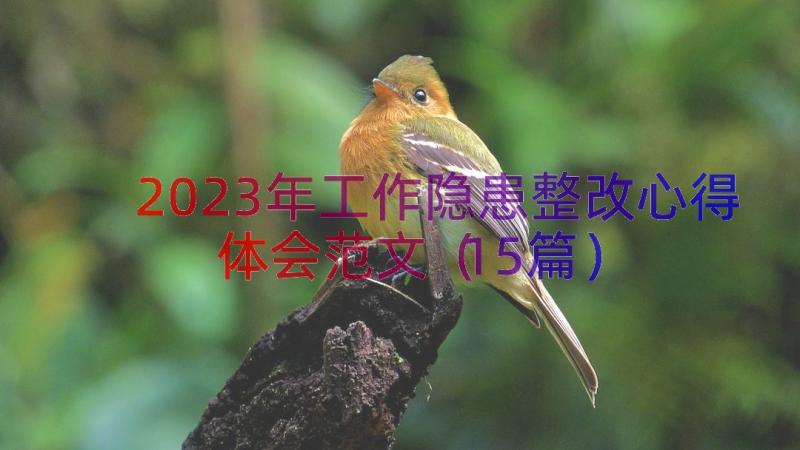 2023年工作隐患整改心得体会范文（15篇）