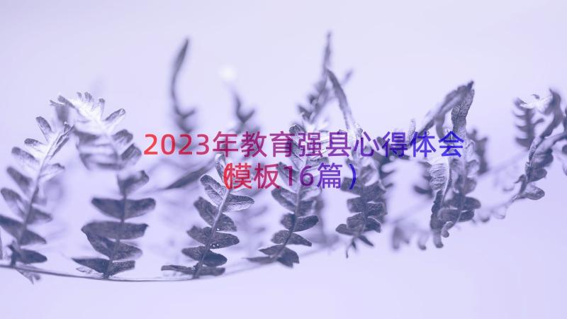 2023年教育强县心得体会（模板16篇）