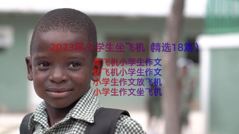 2023年小学生坐飞机（精选18篇）