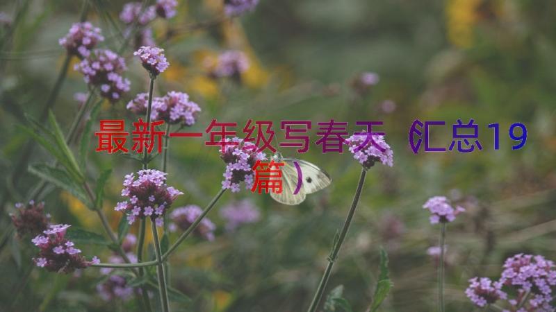 最新一年级写春天（汇总19篇）