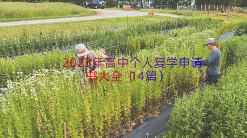 2023年高中个人复学申请书大全（14篇）