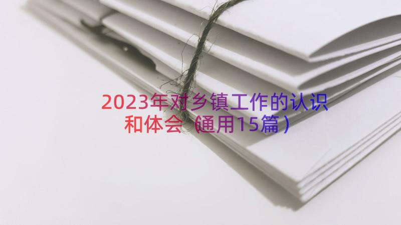 2023年对乡镇工作的认识和体会（通用15篇）