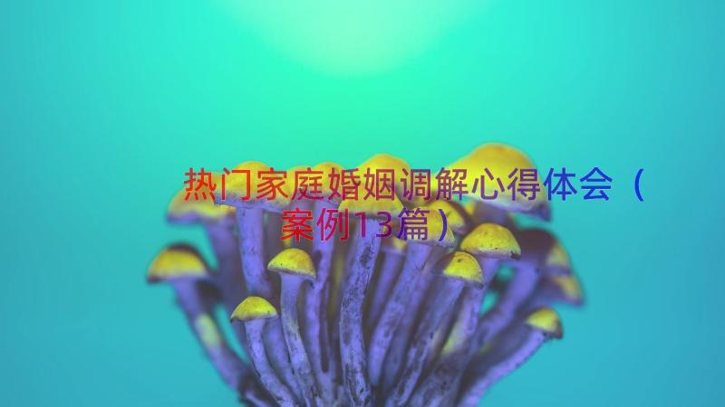 热门家庭婚姻调解心得体会（案例13篇）