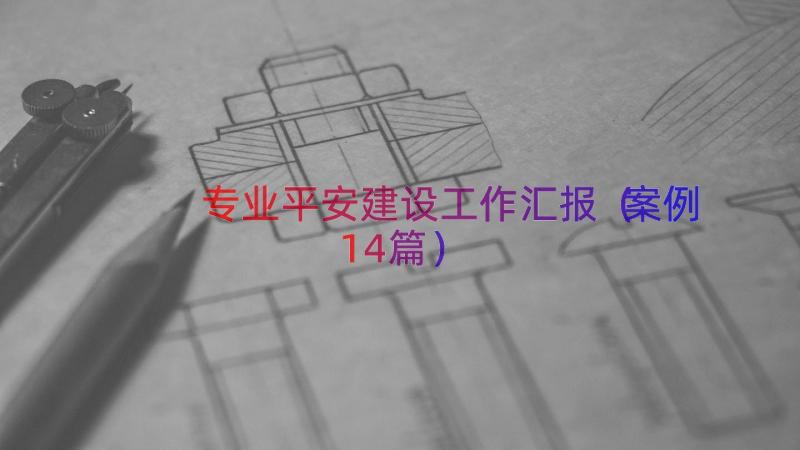 专业平安建设工作汇报（案例14篇）