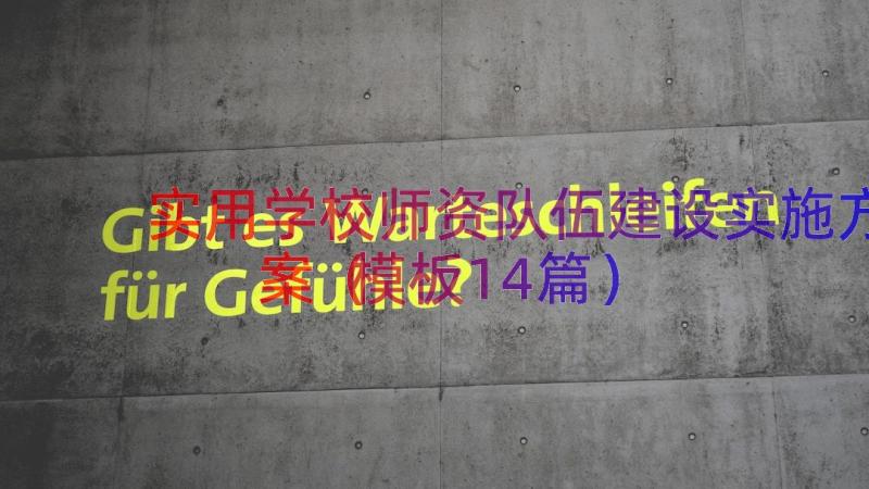 实用学校师资队伍建设实施方案（模板14篇）