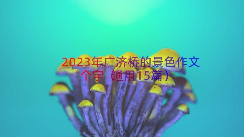 2023年广济桥的景色作文个字（通用15篇）