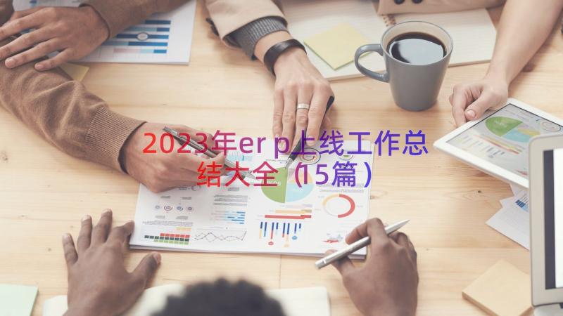 2023年erp上线工作总结大全（15篇）