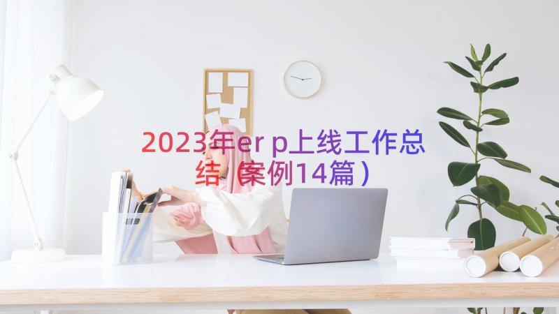 2023年erp上线工作总结（案例14篇）