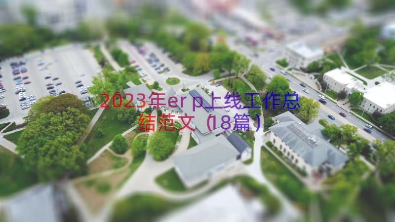 2023年erp上线工作总结范文（18篇）