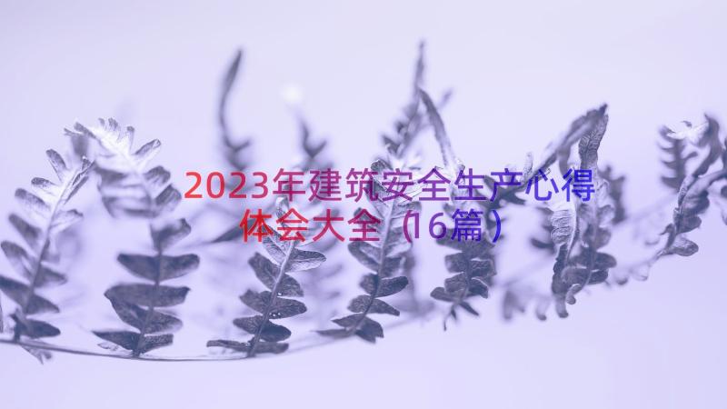 2023年建筑安全生产心得体会大全（16篇）