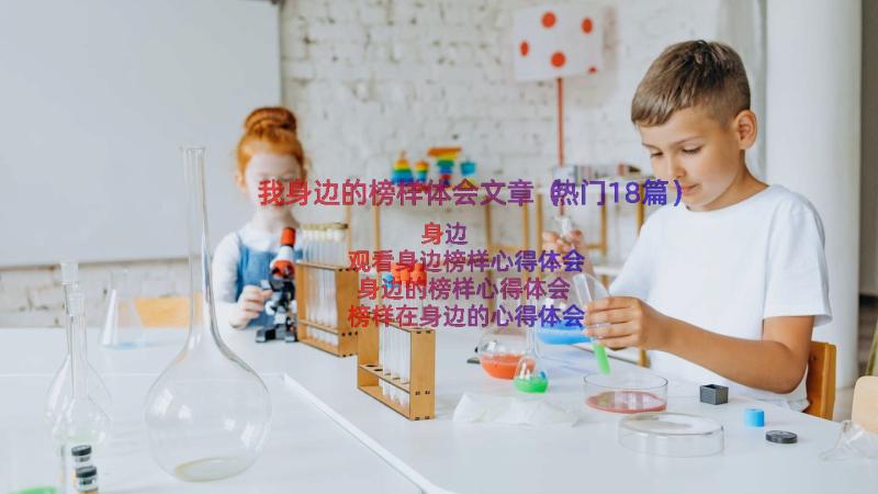 我身边的榜样体会文章（热门18篇）