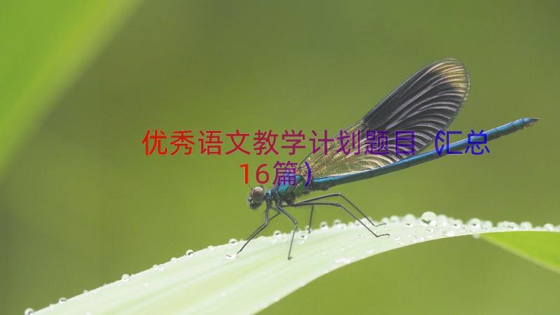 优秀语文教学计划题目（汇总16篇）