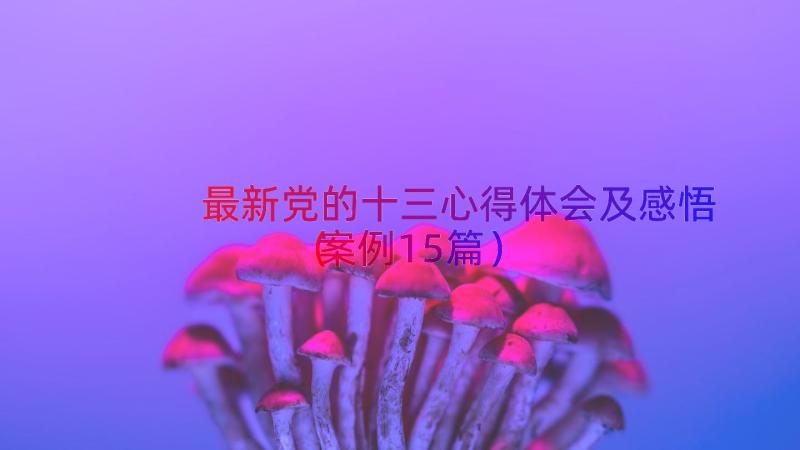 最新党的十三心得体会及感悟（案例15篇）