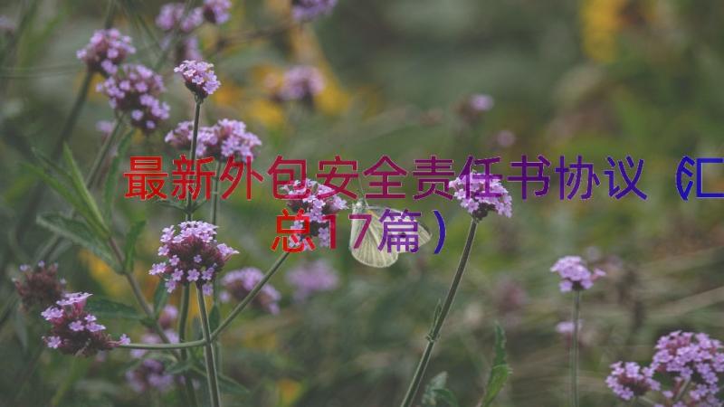 最新外包安全责任书协议（汇总17篇）