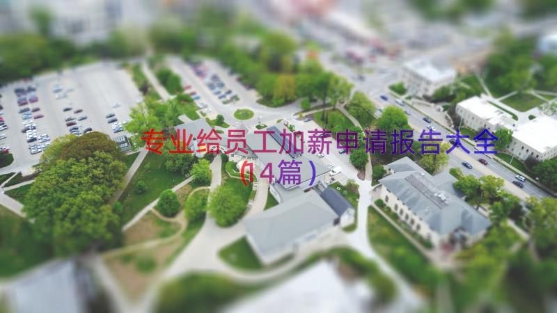 专业给员工加薪申请报告大全（14篇）