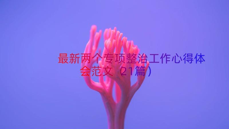 最新两个专项整治工作心得体会范文（21篇）