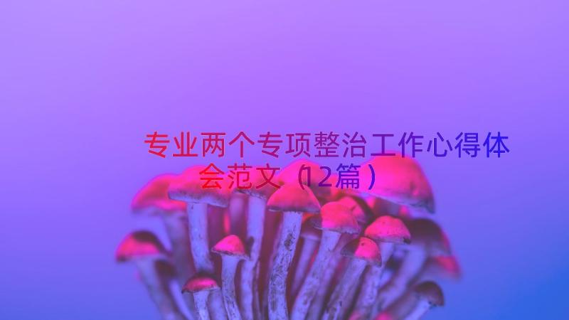 专业两个专项整治工作心得体会范文（12篇）