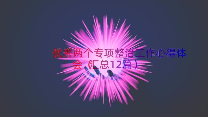 优秀两个专项整治工作心得体会（汇总12篇）