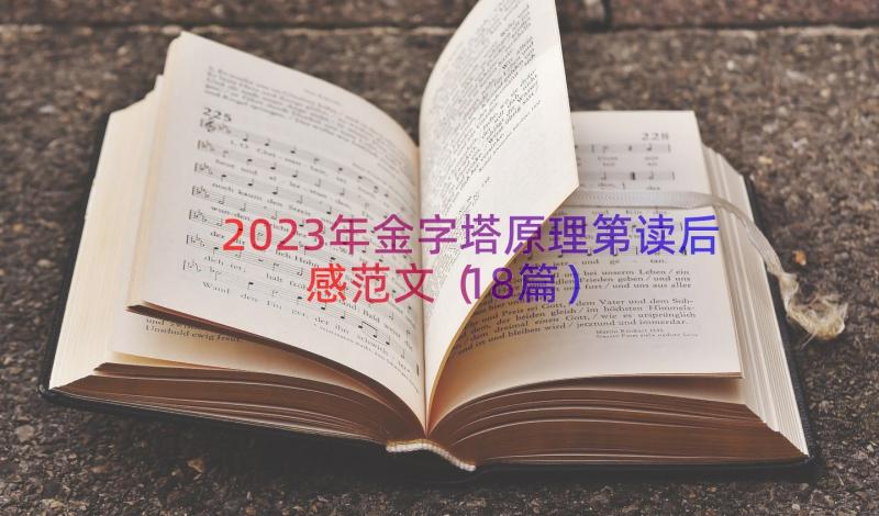 2023年金字塔原理第读后感范文（18篇）